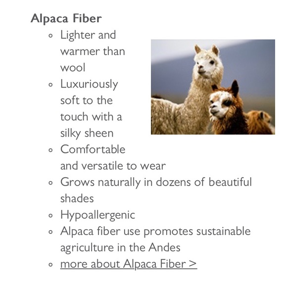 Peruvian Connection Royal Alpaca Tunic Sweater dress burgundy Merlot NEW S - Picture 9 of 15